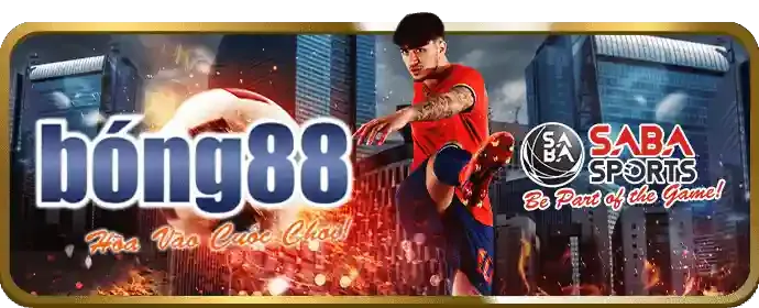 Cá cược thể thao tại QH77 với các trận đấu bóng đá